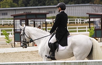 Classical dressage routines