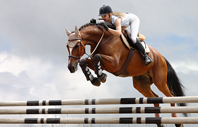 Competitive show jumping