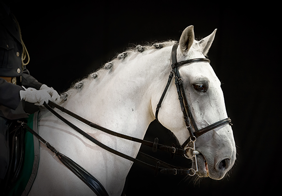 Creating an authentic visual narrative