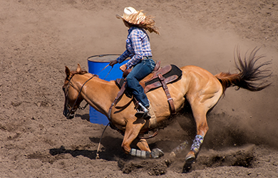 Dynamic barrel racing